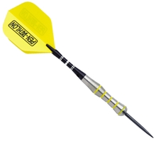 Chubby Stubby Steel Tip Dart 20g