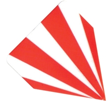 Delta Flight