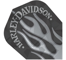 Harley-Davidson® Silver Flames Standard Flight