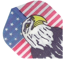 USA Flag/Eagle Nylon Rib-Stock Flight