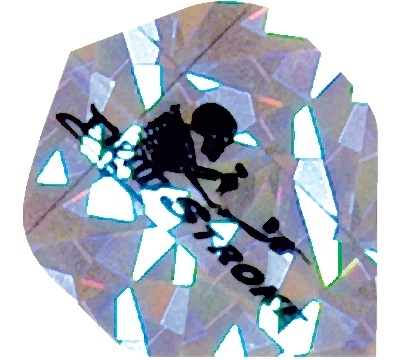 Dead Stroke Skeleton 2D/3D Flight