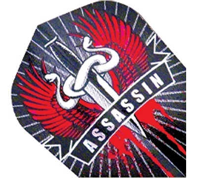 Assassin 2D/3D Flight