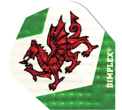 Dragon Dimplex Flight