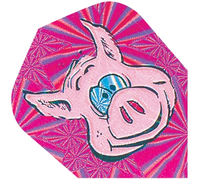 Pig 2D/3D Flight