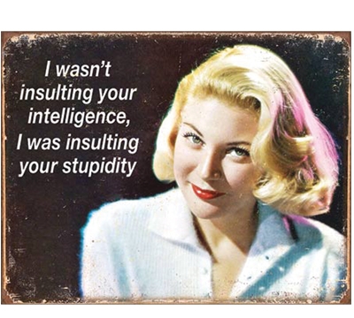 Stupidity Metal Sign