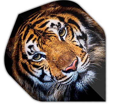 Mueller's 100 Micron Dart Flights – Tiger – Standard