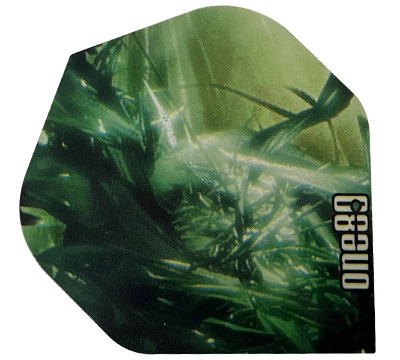 Growth Standard Poly Flight