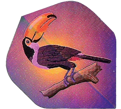 Toucan 2D/3D Flight