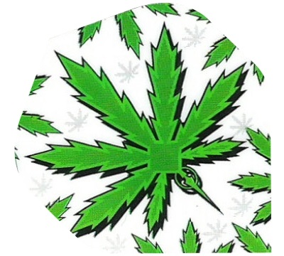 Hemp Leaf Hard Poly Flight