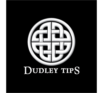 Dudley Cue Tips – 13mm