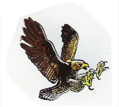 Eagle Hard Poly Flight